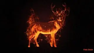 A Funny Hunting Story
