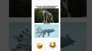 #юмор#шуточное #memes #смехпродлеваетжизнь #смешновидео #смех