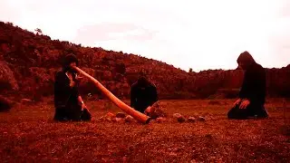 SANGUE NERO 