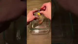 DIY Exploding Monster Halloween Science Experiment
