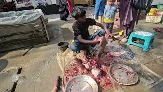 Expert Fish Cutter at Local Bazar | 123 Dance Media