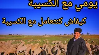 كيفاش كنتعامل مع الكسيبة من الصباح حتى الصباح دخل تستفاد. (ما.ت ليا خروف)
