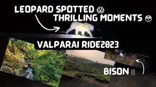 WATCH: Leopard Spotted On Our Thrilling Chennai to Valparai Ride! #2023 #100 #trending now