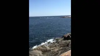 narragansett rhode island black point