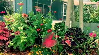 223 S Landry Rd Avon Park Florida Property Tour