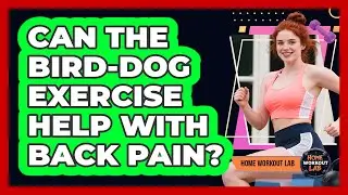 Can The Bird-Dog Exercise Help With Back Pain?