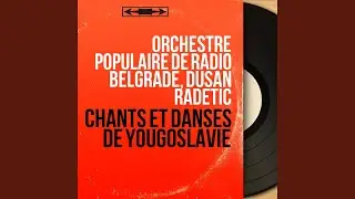 V' Cerav Pojdoh (feat. Radmila Dimic)