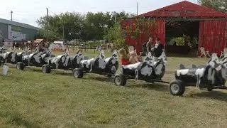 Pumpkin Town Farms Opens Just In Time For Fall