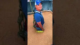 Застрял в зернохранилище #шорты