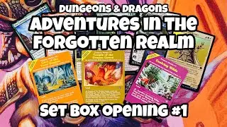Not For Me - D&D ADVENTURES IN THE FORGOTTEN REALMS - Set Box Opening #1 // MTG // Set Collecting