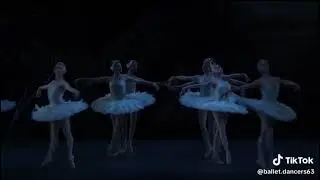 Swanlake Ballet Tchaikowsky Music Corps de Ballet Dance Royal Opera House 
