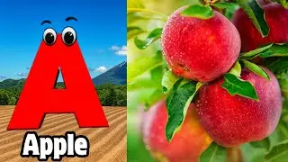 ABC Phonics Song | Learn ABC Alphabet for Children | Education ABC Nursery Rhymes