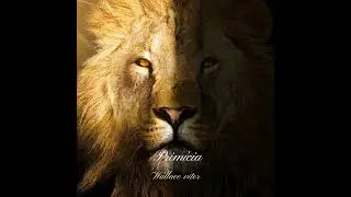 Prim&iacute;cia - Wallace Vitor