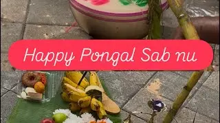 Aj South Indian festival kita . Buhat Anand aya . Kro enjoy tusi v🥰#southindian #season #festival 