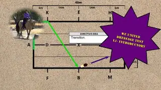 WE UNITED Working Equitation Dressage Test L1 Introductory