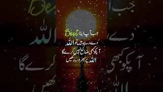 Never Lose Hope  #quotes #allah #hope