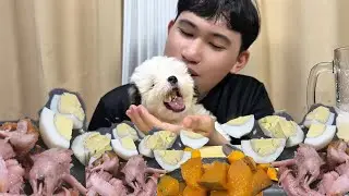 MY PET FIRST EVER MUKBANG- SQUASH,EGG,CHICKEN ,MILK AND VITAMInS 🫶
