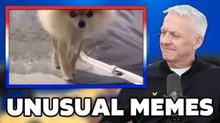 UNUSUAL MEMES COMPILATION V333 REACTION | OFFICE BLOKES REACT!!