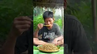 Wilderness Eating Fried Ant Eggs Alone &ndash; Primitive Life Hacks!