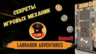 🎮 Labrador Adventures - game for earning money: Secrets of game mechanics
