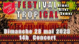 FESTIVAL TROPICAL 2023 - Concert Dimanche après-midi