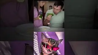 Mobile Effect 😂 #cat. #bombastic #meme #dance