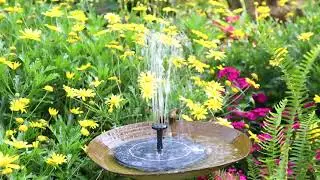 One Spring, Three Views｜Listen&mdash;My Garden Changes Its Water Sounds to Match My Mood