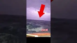 Sirena REAL fue captada en el mar 😨💀
