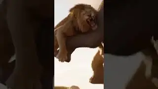 Can the elephant protect the baby from the lion&rsquo;s attack? #rescue #danger #lion