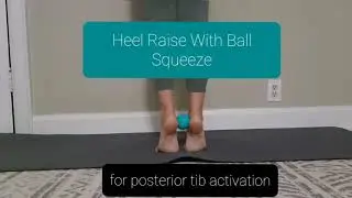 Heel Raise With Ball Squeeze - For Posterior Tib Activation