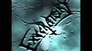 Execratory absolute agony.wmv