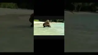 One time is funny, two times is fucking annoying, no?