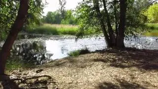 River Bend to William Pond Park Walk