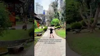 Minha terapia...