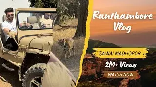 INSANE Tiger Hunt Caught on Camera | Ranthambore Jungle Safari Adventure | Epic Jungle Safari