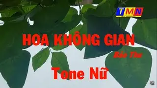 [KARAOKE] Hoa không gian (Bảo Thu Pre.75) – Tone Nữ (Em) – #coverbytmn
