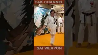 How to pose with the SAI Weapon |  #samurai #action #fighting