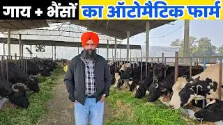Dairy + Biogas से चल रहा है पूरा परिवार | 75 लाख का लोन लेकर बनाया डेरी फार्म