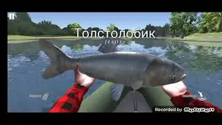 Словили Карпа на 21.10кг Толстолоба на 14.60 Щуку на 17.42 😊😱😏