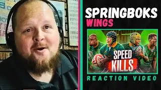 Unstoppable Springbok Wings Reaction Video