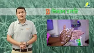 Osheen Chhattisgarh Video Hindi