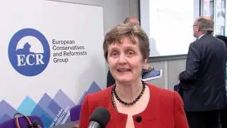 Anthea McINTYRE MEP chairing the Better Regulation and Re-shoring Policy Group session