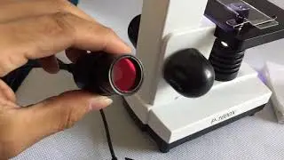 Microscopio 40x-1600x