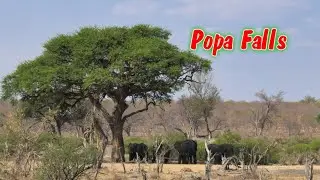 Afrika Popa Falls. Namibi&euml;