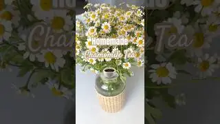 Easiest way to make chamomile from scratch! 🌼