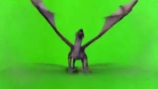 Green Screen Dragon Effect