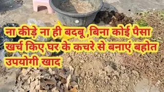 How to make compost from vaste material, without any cost 2 dec 2025 #ranisgarden #viralvideo