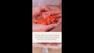 The four sacred pillars are the fundamental principles that underpin sacred living.  - Isira (Jinta)