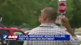 Illegal Immigrant Minors Falling Prey to Gang Recruitment
