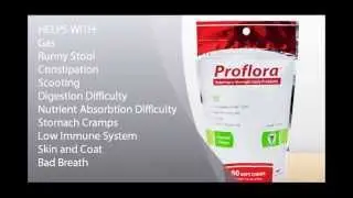 Probiotic Soft Chews for Dogs: Probiotic support of digestion and overall canine health.